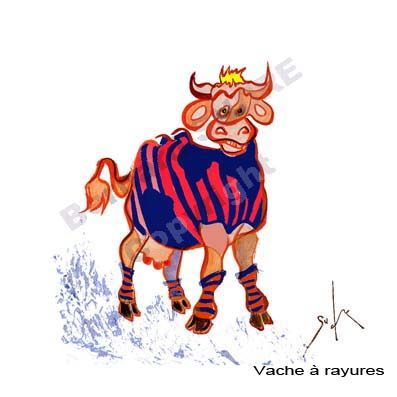 vache rayures